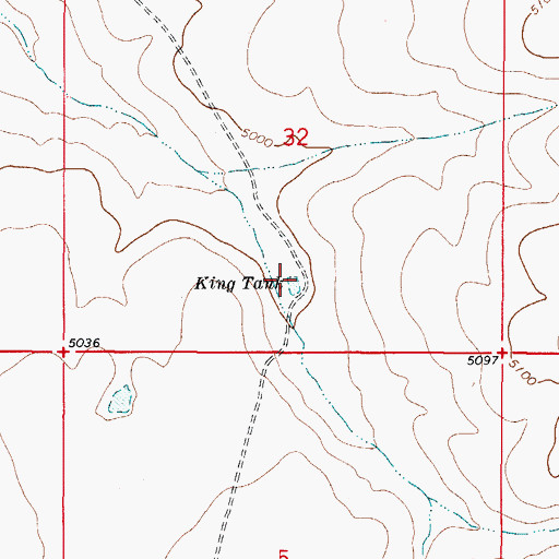 Topographic Map of King Tank, NM