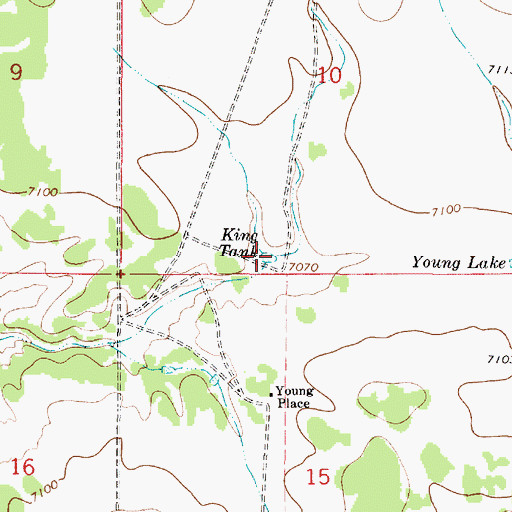Topographic Map of King Tank, NM