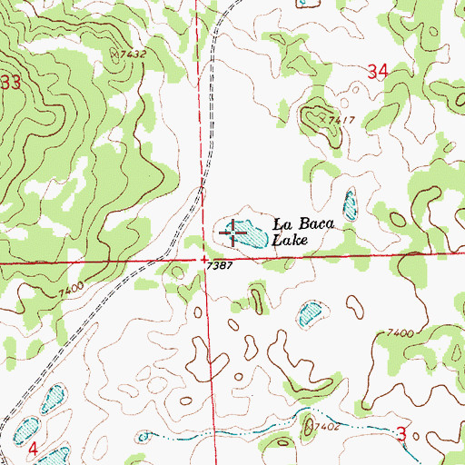 Topographic Map of La Baca Lake, NM