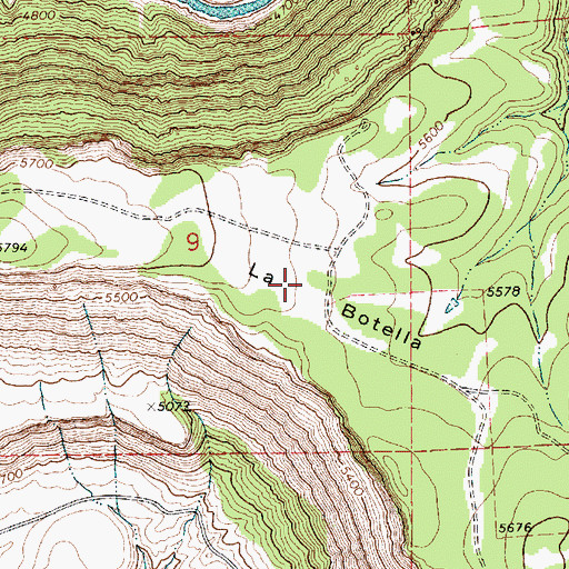 Topographic Map of La Botella, NM