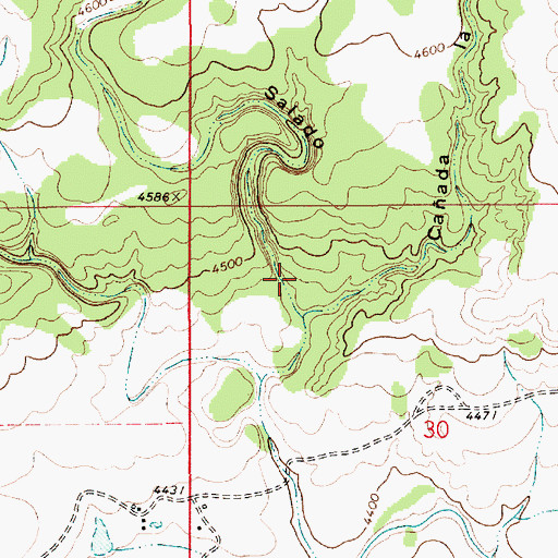Topographic Map of La Canada del Salado, NM