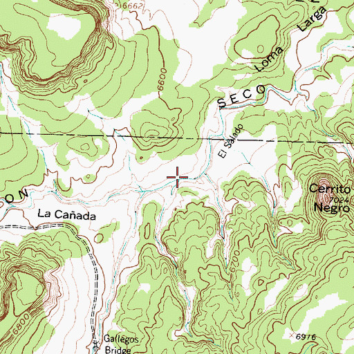 Topographic Map of La Canada El Salado, NM