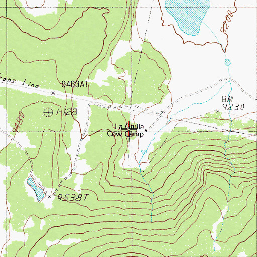 Topographic Map of La Grulla Cow Camp, NM