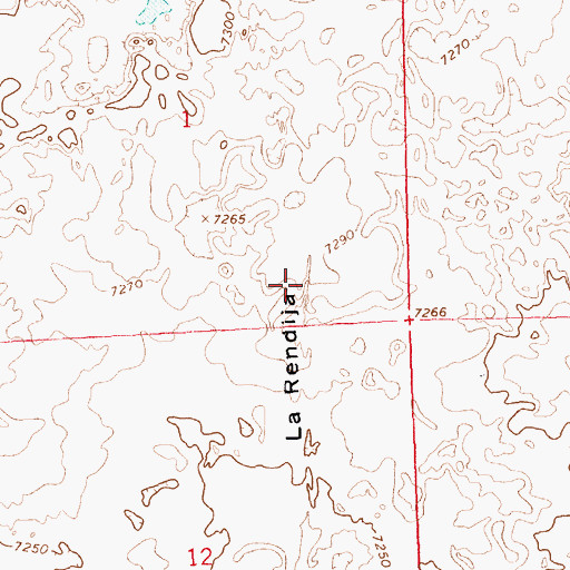 Topographic Map of La Rendija, NM