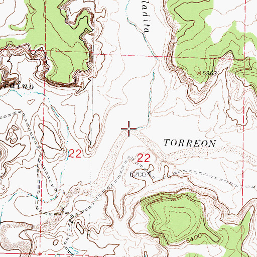 Topographic Map of La Saladita, NM