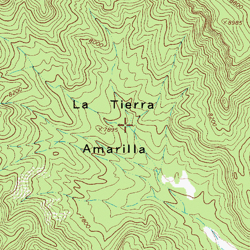 Topographic Map of La Tierra Amarilla, NM