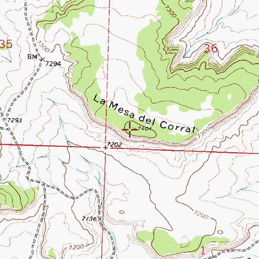 Topographic Map of La Mesa del Corral, NM