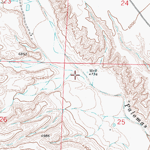 Topographic Map of Ladder Draw, NM