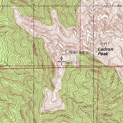 Topographic Map of Ladron Peak, NM