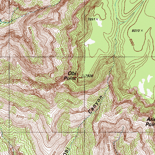 Topographic Map of Obi Point, AZ