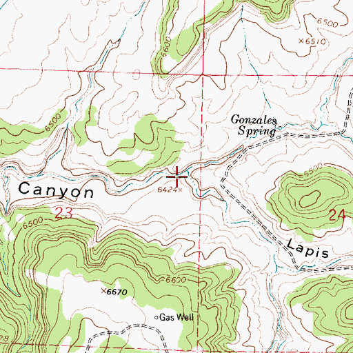 Topographic Map of Lapis Canyon, NM