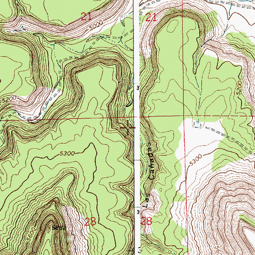 Topographic Map of Las Caadas, NM
