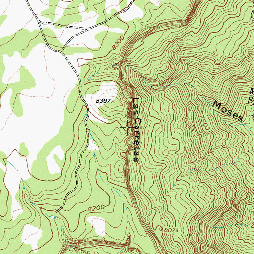 Topographic Map of Las Carretas, NM