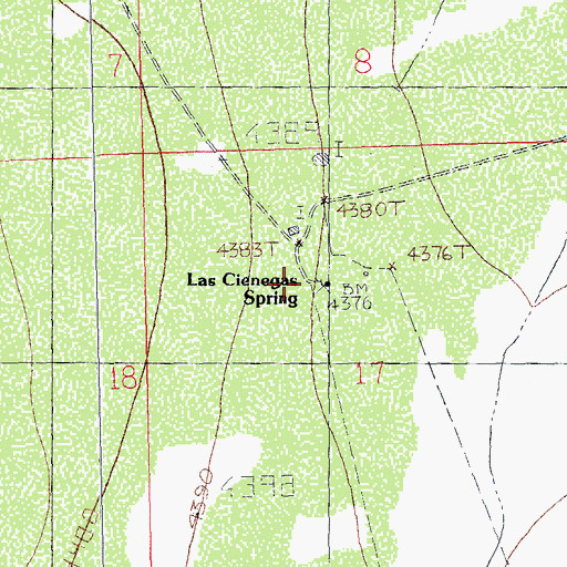 Topographic Map of Las Cienegas Spring, NM