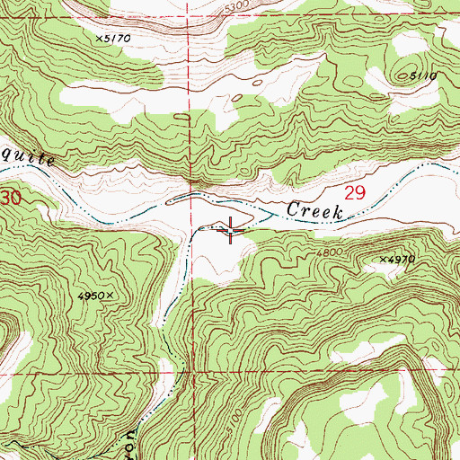 Topographic Map of Las Cuevas Canyon, NM