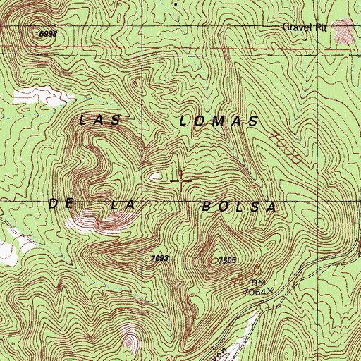 Topographic Map of Las Lomas de la Bolsa, NM
