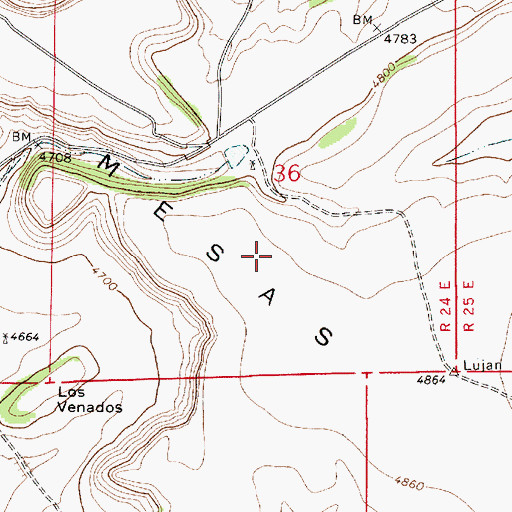 Topographic Map of Las Mesas Negras, NM