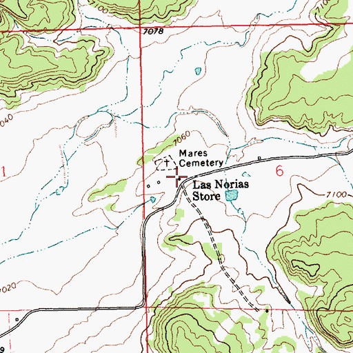 Topographic Map of Las Norias Store, NM