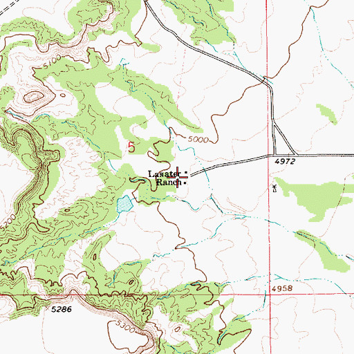 Topographic Map of Lasater Ranch, NM