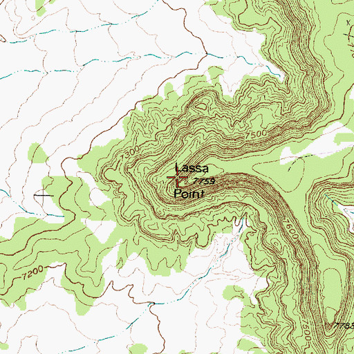 Topographic Map of Lassa Point, NM