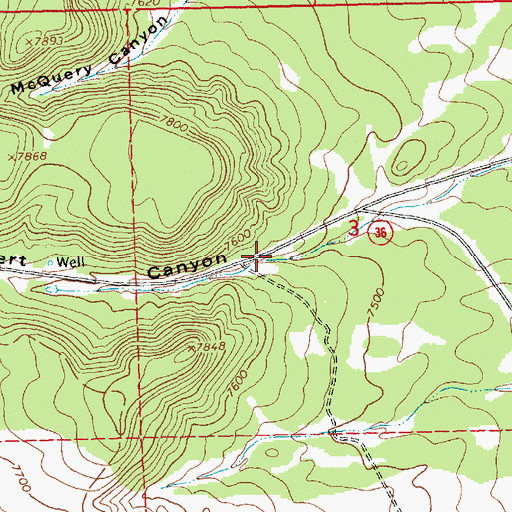 Topographic Map of Lathert Canyon, NM