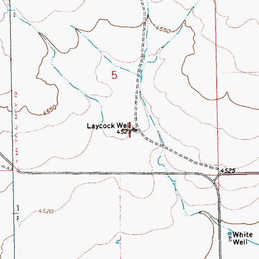 Topographic Map of Laycock Well, NM