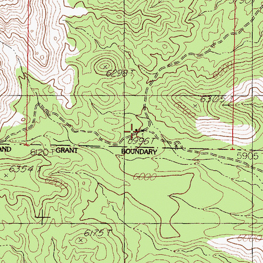 Topographic Map of Lazy C Bar J Ranch, NM