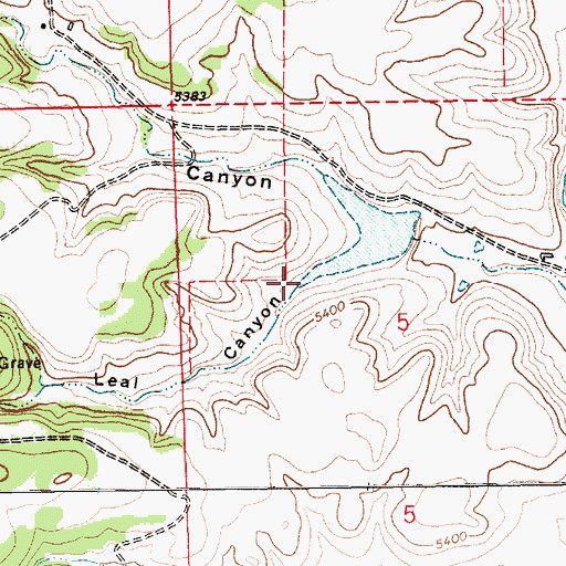 Topographic Map of Leal Canyon, NM