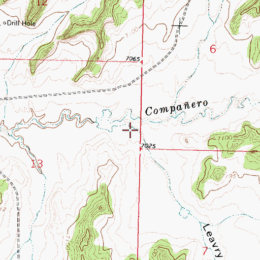 Topographic Map of Leavry Canyon, NM
