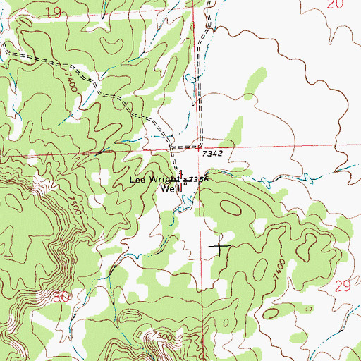 Topographic Map of Lee Wright Well, NM