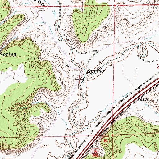 Topographic Map of Leo Canyon, NM