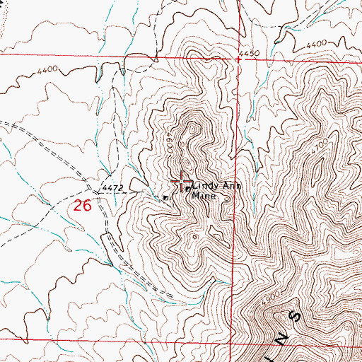 Topographic Map of Lindy Ann Mine, NM