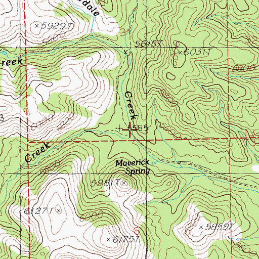 Topographic Map of Lion Creek, NM