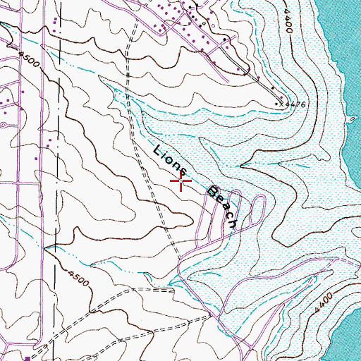 Topographic Map of Lions Beach, NM