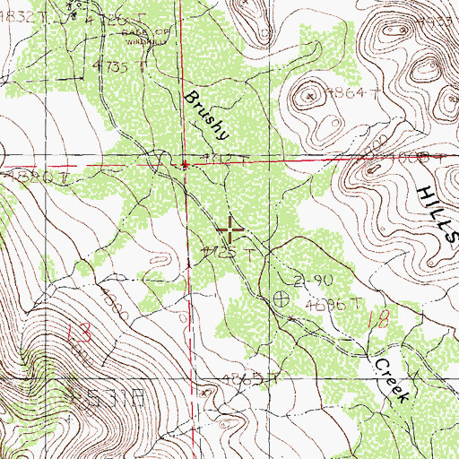 Topographic Map of Little Brushy Creek, NM