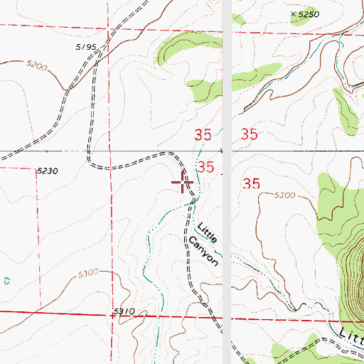 Topographic Map of Little Canyon, NM