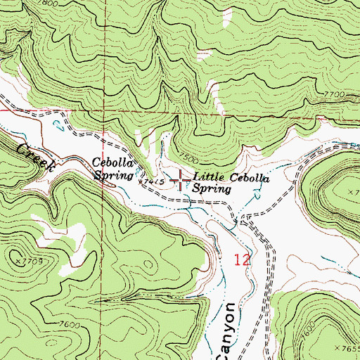 Topographic Map of Little Cebolla Spring, NM