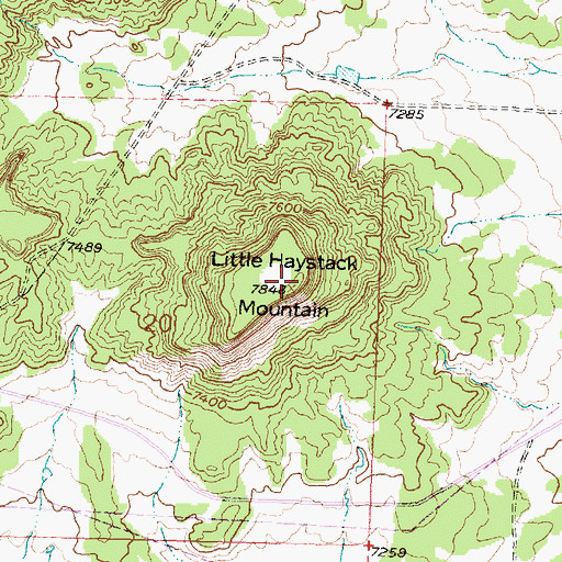 Topographic Map of Little Haystack Mountain, NM