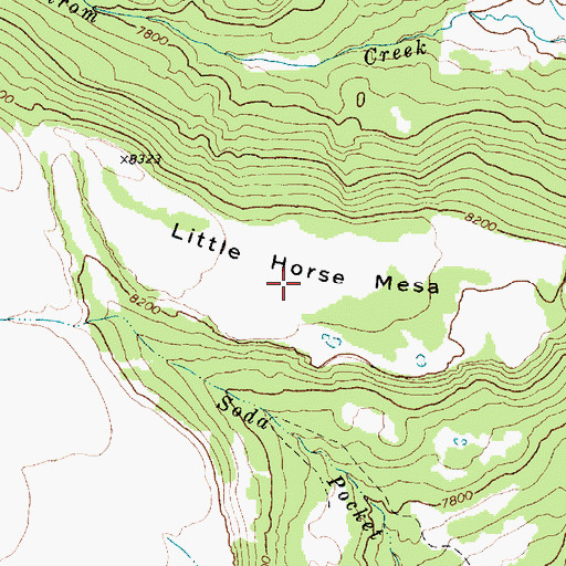 Topographic Map of Little Horse Mesa, NM