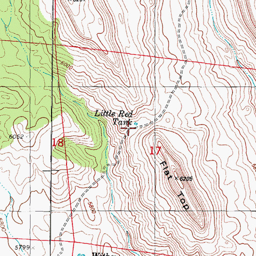 Topographic Map of Little Red Tank, NM