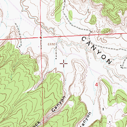 Topographic Map of Little Rock Canyon, NM