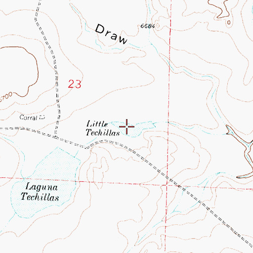 Topographic Map of Little Techillas, NM