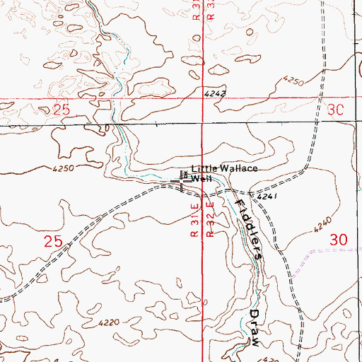 Topographic Map of Little Wallace Well, NM