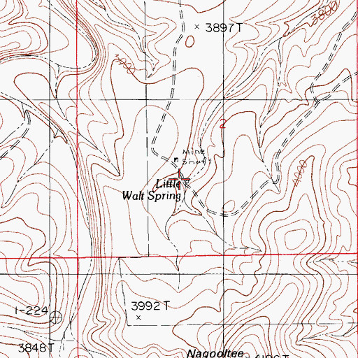 Topographic Map of Little Walt Spring, NM