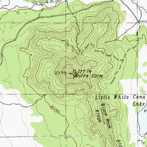 Topographic Map of Little White Cone, NM