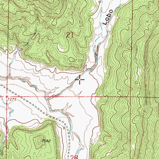 Topographic Map of Lobo Canyon, NM