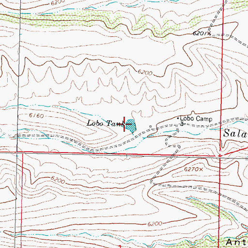 Topographic Map of Lobo Tank, NM
