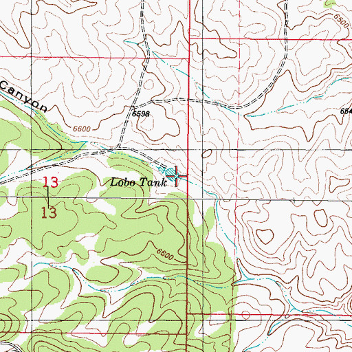 Topographic Map of Lobo Tank, NM