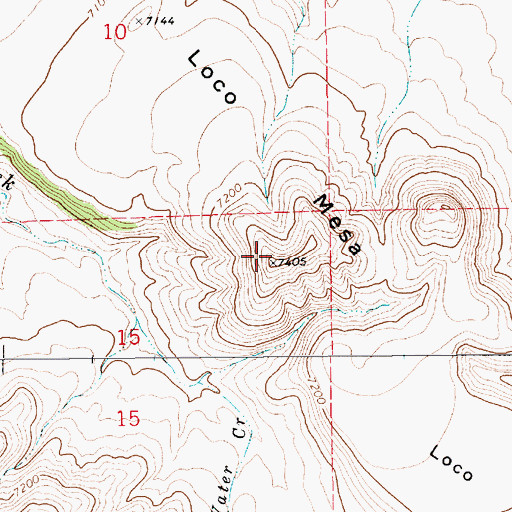 Topographic Map of Loco Mesa, NM