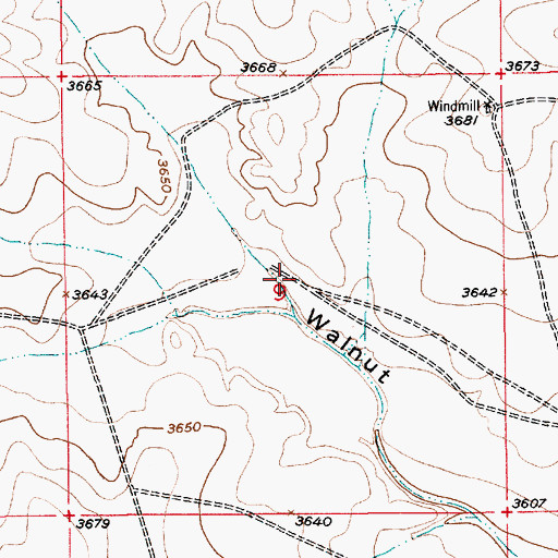 Topographic Map of Loin Draw, NM